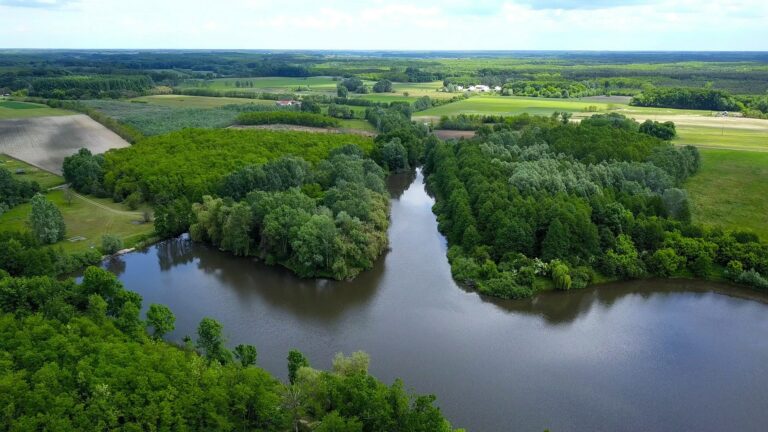 The Lake of Erdőspuszta